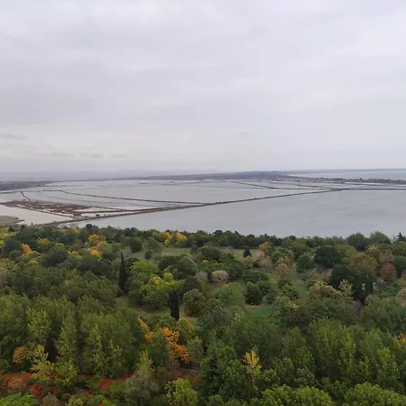 Delux Cote Dagur Apartment